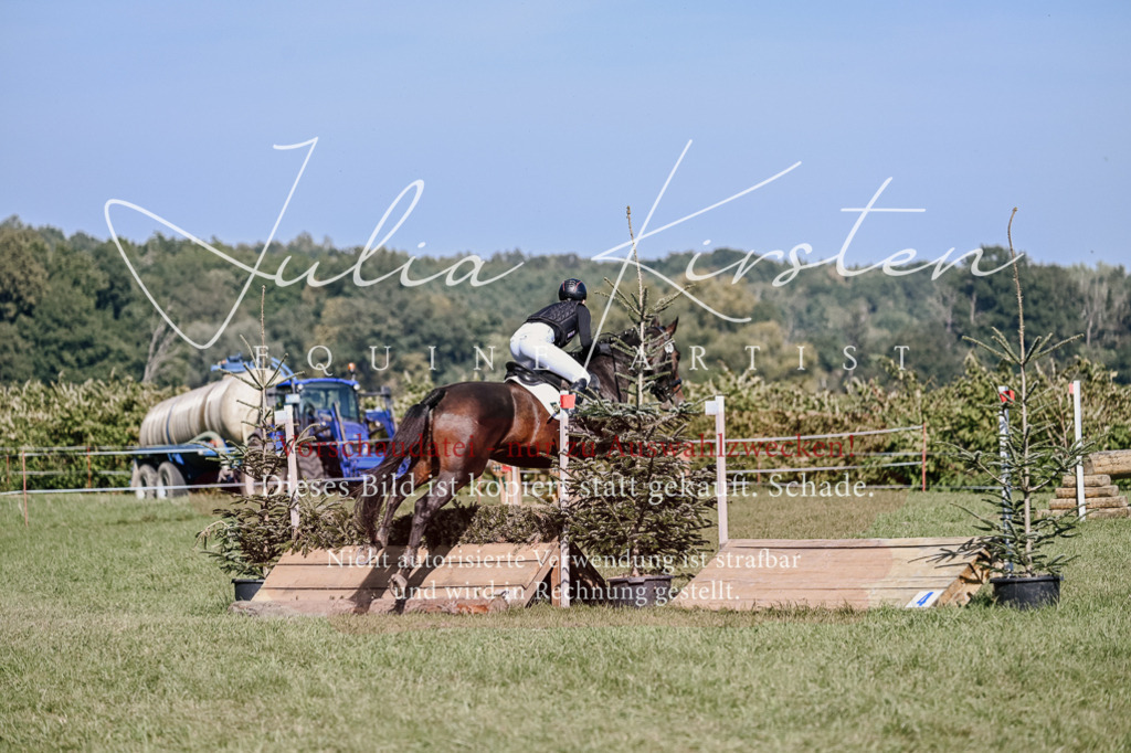 DSC_3417 | Pferde- und Turnierfotografie in Westsachsen. Pferdeportraits, Auftragszeichnungen und intuitive Kunst.