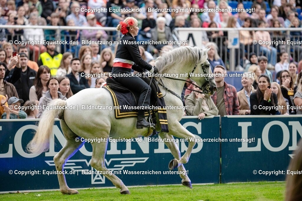 20250606_Lange-Pferdenacht_0561 | Foto: Thomas Hartig