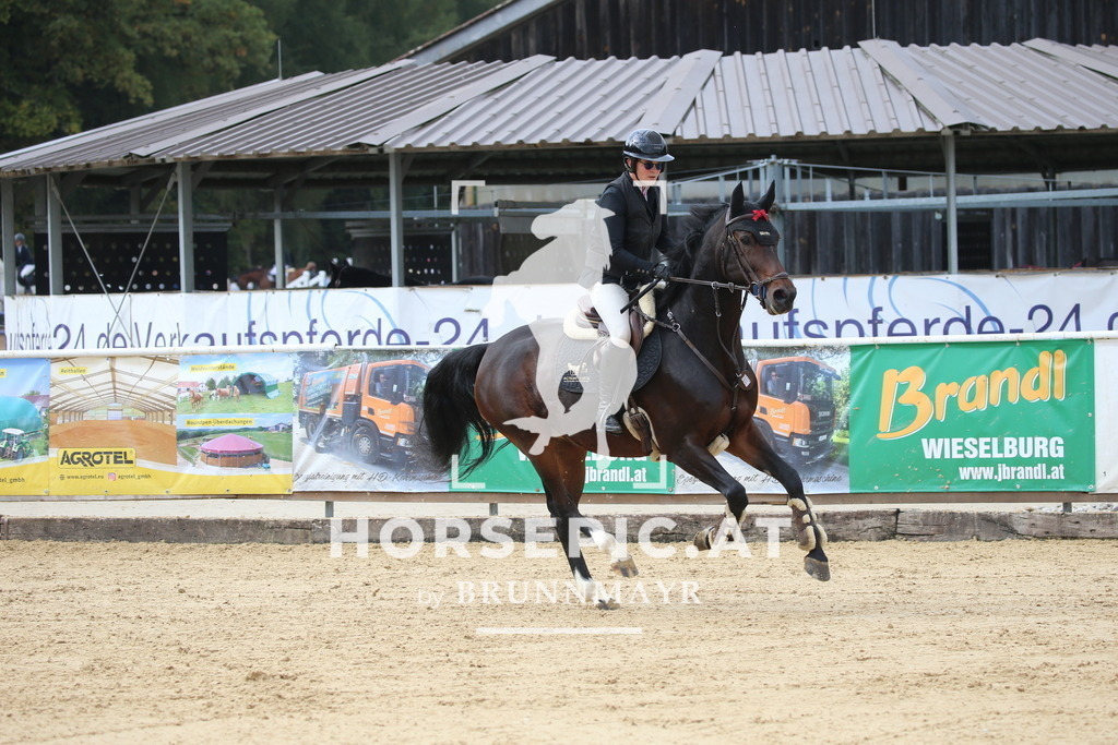 DL2Q1834 | Willkommen bei Brunnmayr - Design & Fotografie – Ihrem Spezialisten für Reitturniere und Pferdeveranstaltungen in Oberösterreich, Salzburg und Bayern! Seit über 17 Jahren sind wir leidenschaftlich dabei.