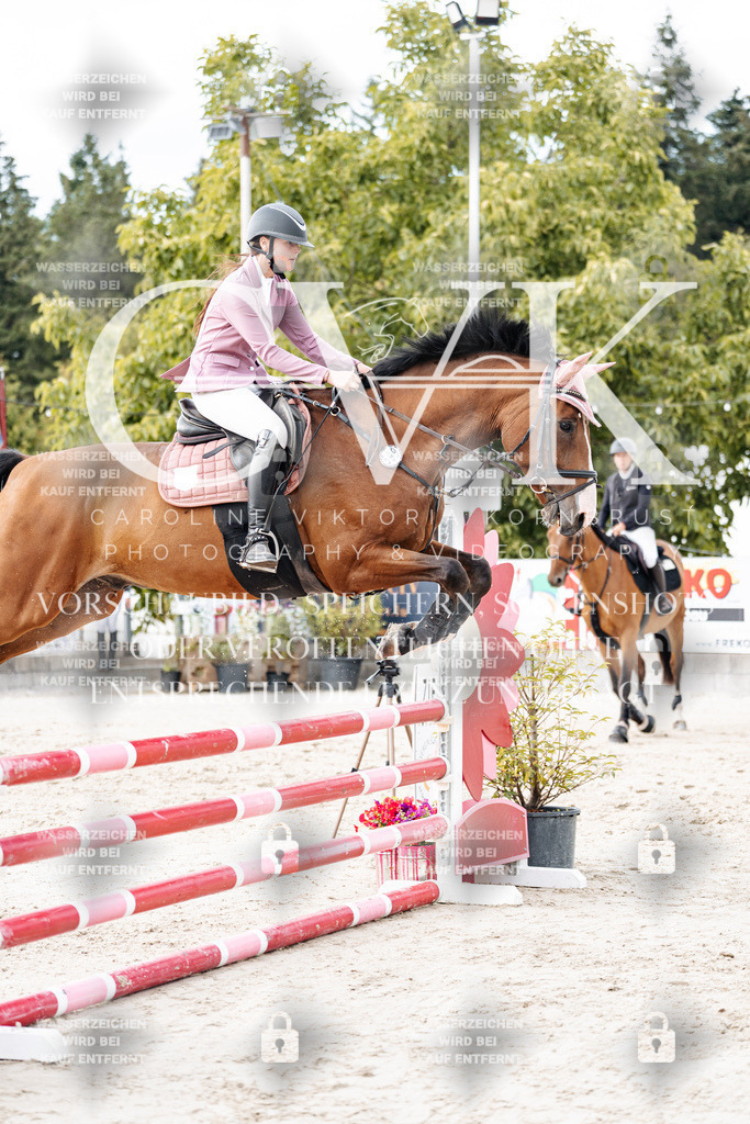 CK902897 | Turnierfotografie Pferdefotografie Trier Rheinland-Pfalz Pferdesport Reitsport Tierfotografie Sportfotografie Pferdevideo Pferdevideografie Equestrianvideography equestrianphotography  - Realisiert mit Pictrs.com