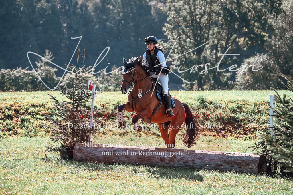 DSC_0725 | Pferde- und Turnierfotografie in Westsachsen. Pferdeportraits, Auftragszeichnungen und intuitive Kunst.