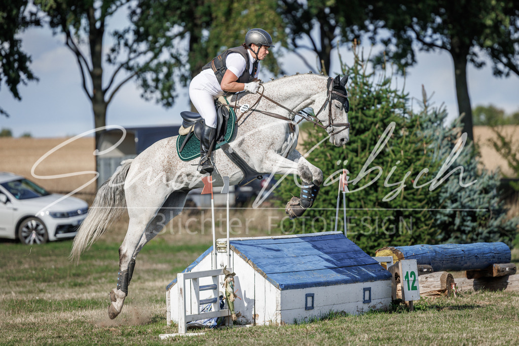 20260905-_3LI0170 | Tierfotografie Pferde, Hunde, Katzen, Haustiere.
Turnierfotografie Reitturniere, Reiten, Springreiten, Dressur in Hanau, dem Main-Kinzig-Kreis und dem Rhein-Main- Gebiet um Frankfurt