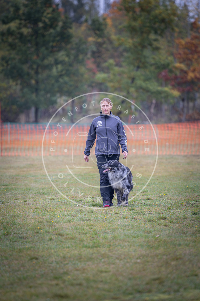 Pfotenfotografie_DV3A9415 | Hundefotografie, Tierfotograf, Pfotenfotografie, Fotoshooting Hund, Hunde Portrait, Hundesport, Hundeportraits, Heideshooting, Hunde, Sportfotograf, Hundefotograf, Turnierhundsport, THS,  - Realisiert mit Pictrs.com