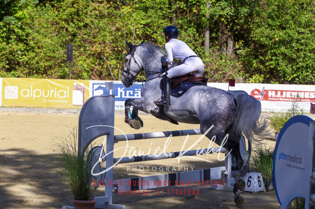 DKP43387 | Turniersportfotografie; Pferdefotografie; Dressurfotografie