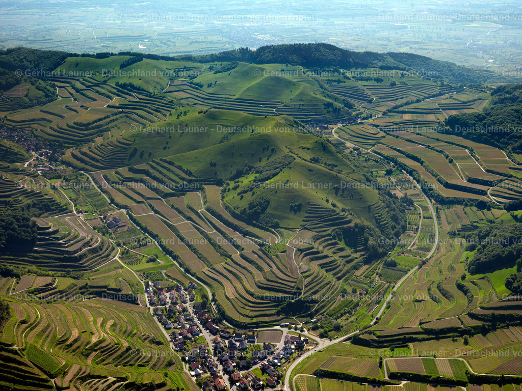3096267 | Weinbergsterrassen am Badberg, Kaiserstuhl