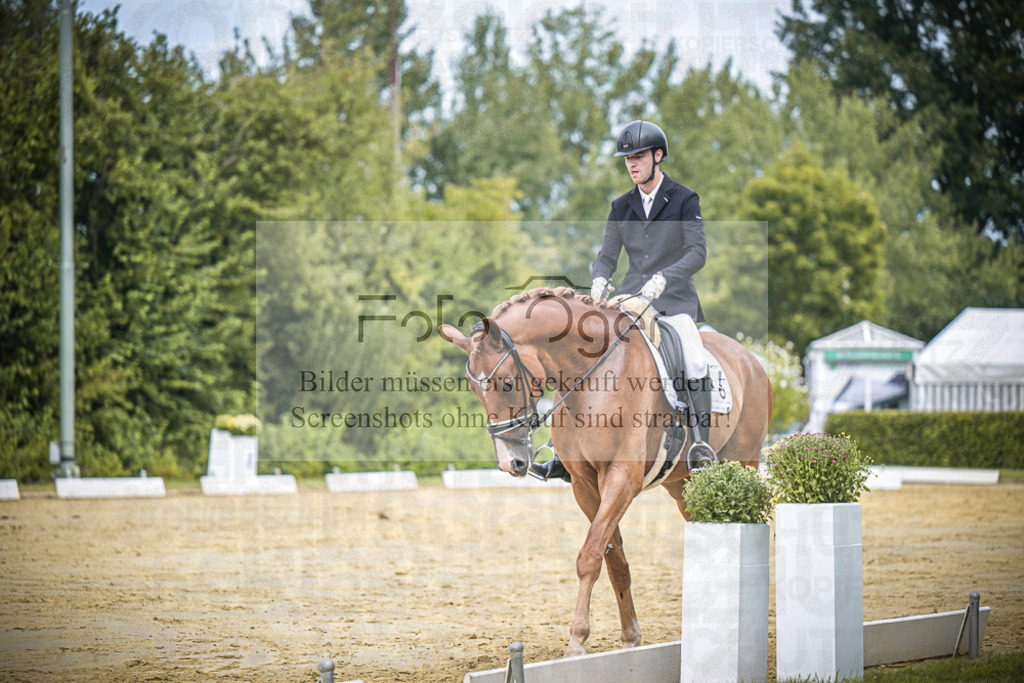 DOS_1618 | Entdecke hochwertige Reitturnierfotos von Foto Oger. Professionell, emotional und authentisch – jetzt Lieblingsmomente im Shop bestellen.Deutschlandweite Turnierfotografie. - Realisiert mit Pictrs.com