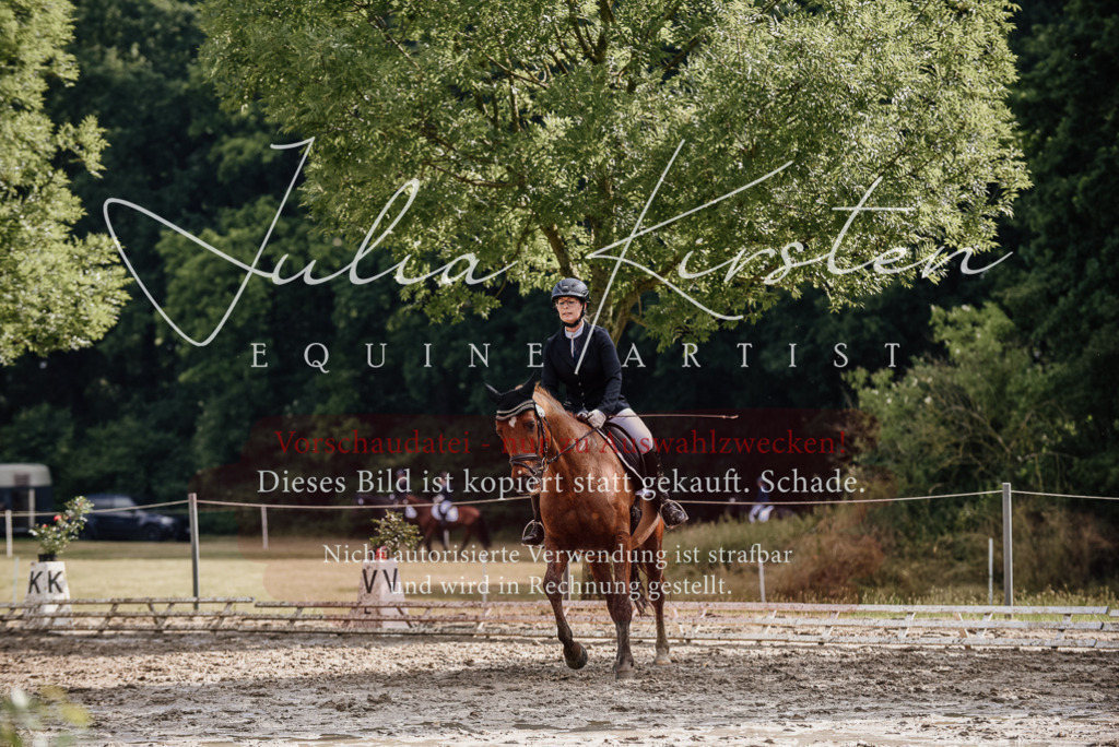 DSC_8927 | Pferde- und Turnierfotografie in Westsachsen. Pferdeportraits, Auftragszeichnungen und intuitive Kunst.