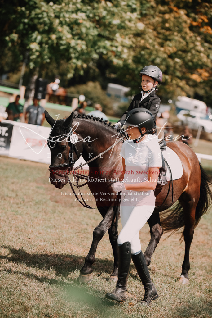 DSC_6159 | Pferde- und Turnierfotografie in Westsachsen. Pferdeportraits, Auftragszeichnungen und intuitive Kunst.