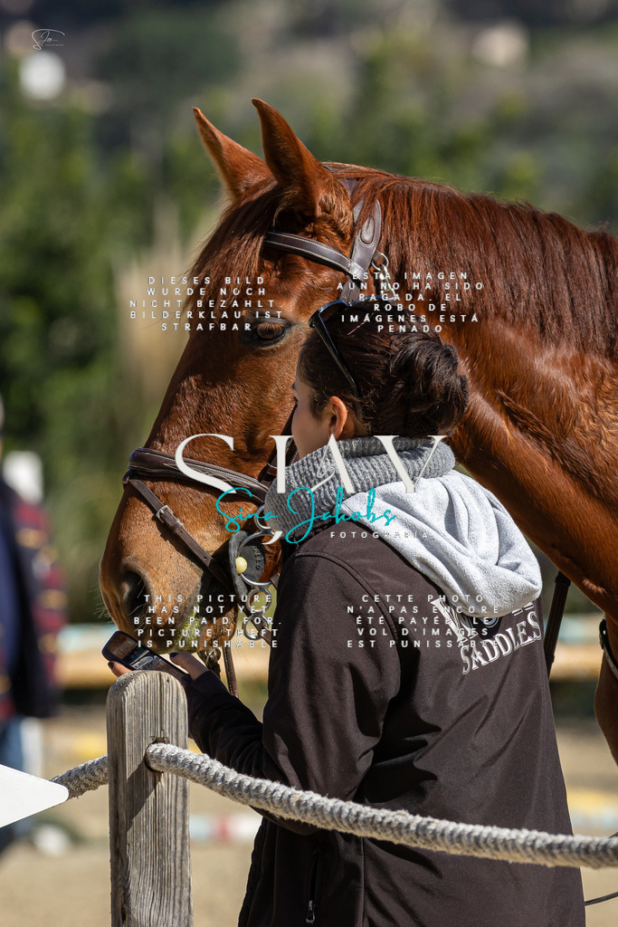 IMG_6345 | s-jay-photography - Realisiert mit Pictrs.com