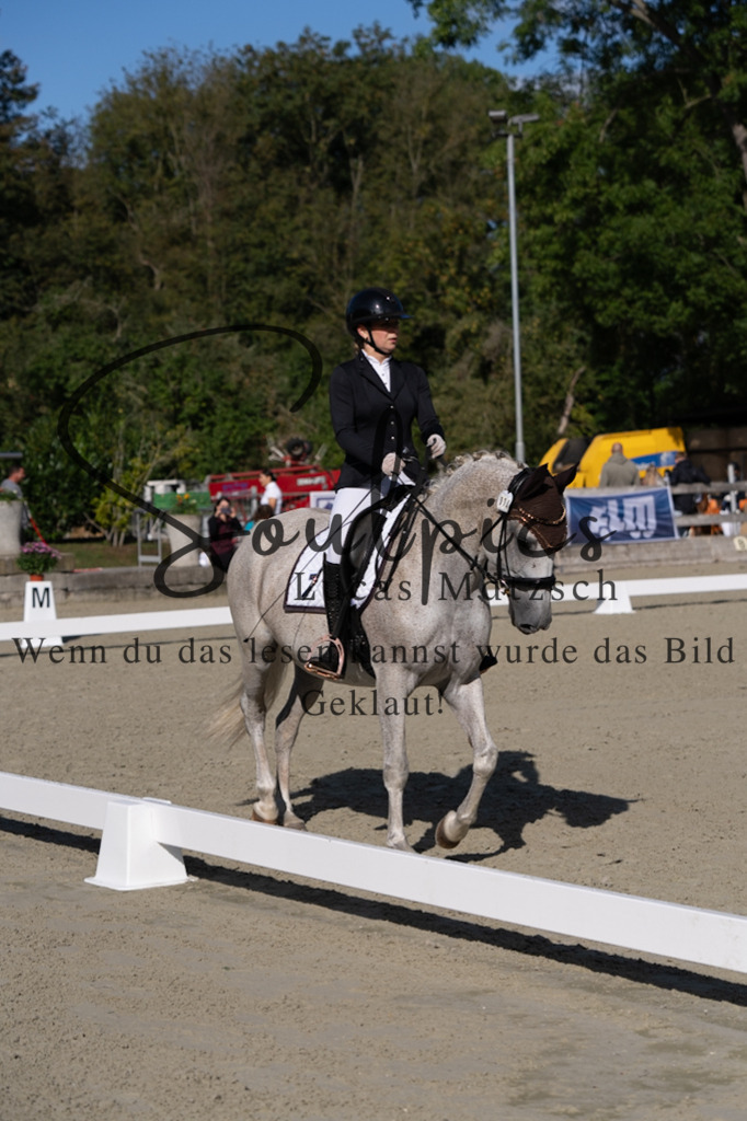 A7V06876 | Turnier/Reitfotograf