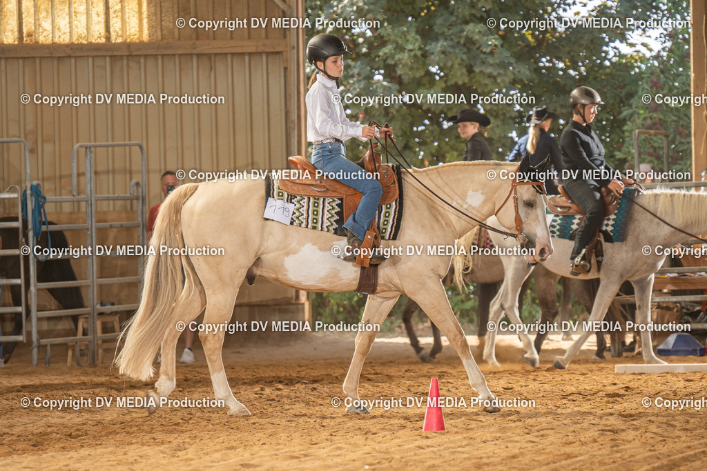 NID02923 | dv-media-shop - Realisiert mit Pictrs.com