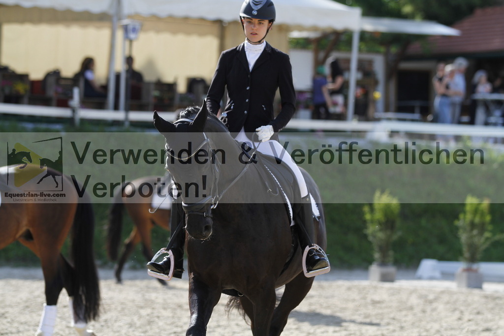 _MG_5898 | equestrian-live-com