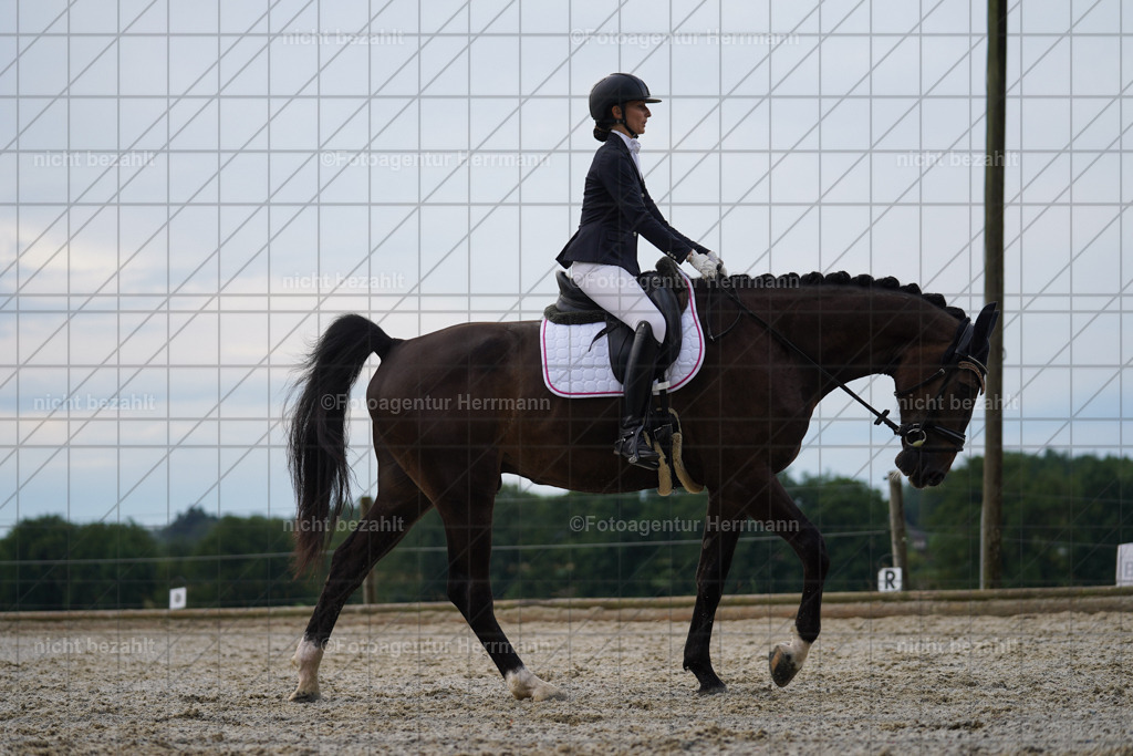 20230826-FAH04460 | Forstinning, 2023, Dressurturnier, Turniersportbilder, Turnierfotografen Bayern, Fotoagentur Herrmann, Reitsportfotografie, Turnierbilder