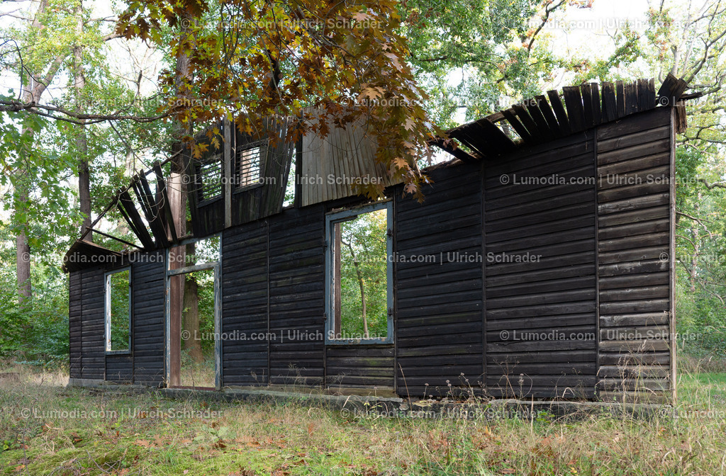 10049-13608 - Gedenkstätte Langenstein-Zwieberge | Stockfoto und Bilderpool mit Bildmaterial aus Deutschland, dem Harz, Halberstadt, Quedlinburg, Wernigerode und weltweit. Qualitativ hochwertige und professionelle Fotos anschauen und kaufen. - Realisiert mit Pictrs.com