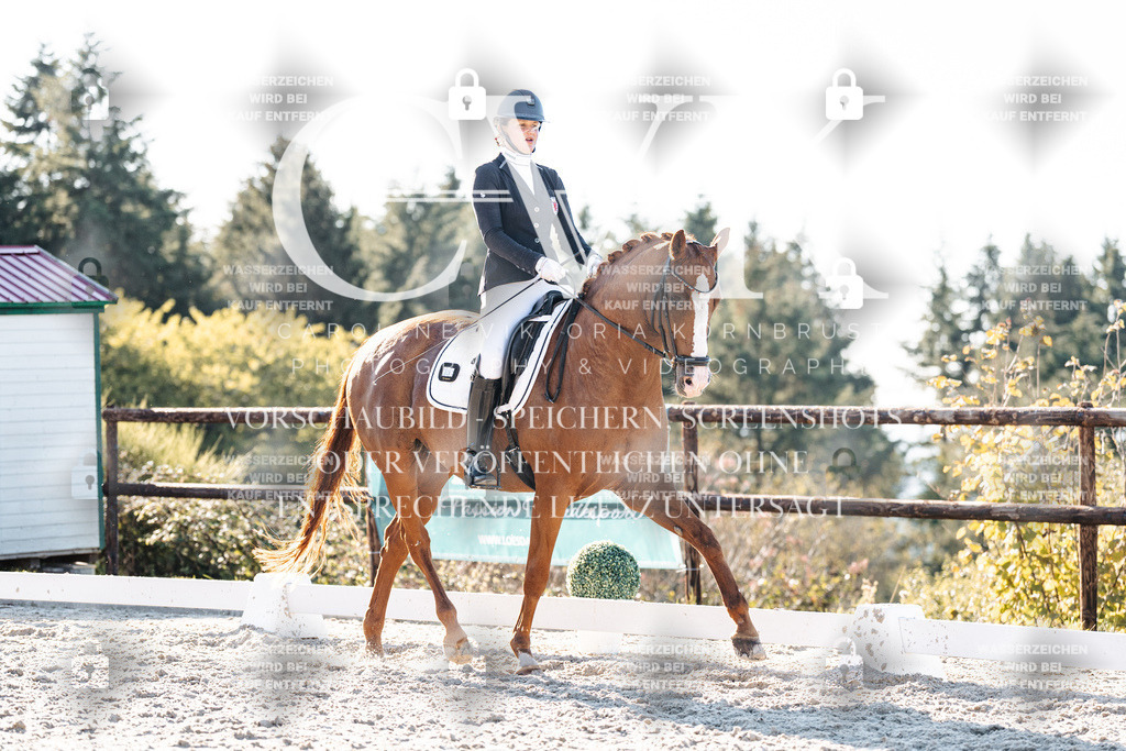 CK906929 | Turnierfotografie Pferdefotografie Trier Rheinland-Pfalz Pferdesport Reitsport Tierfotografie Sportfotografie Pferdevideo Pferdevideografie Equestrianvideography equestrianphotography  - Realisiert mit Pictrs.com
