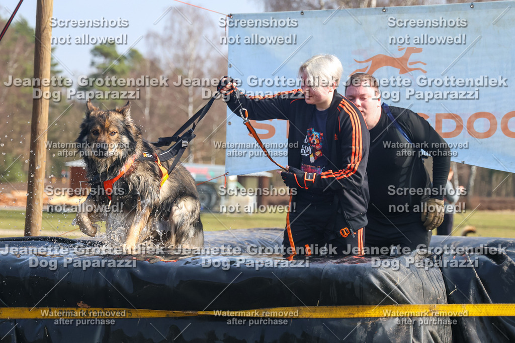 Dog Paparazzi - Strongdog North Mrz26-1807 | Dog Paparazzi Jeanette Grottendiek Fotografie & Videografie - Realisiert mit Pictrs.com