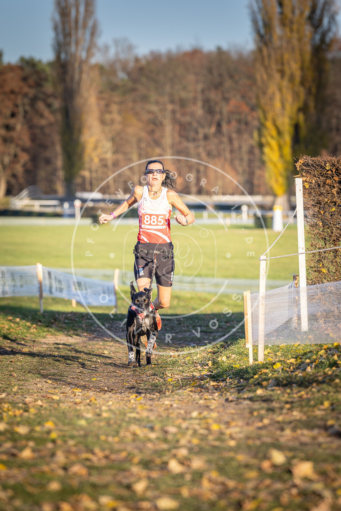 CaniXpix_DV3A4422 | Hundefotografie, Tierfotograf, Pfotenfotografie, Fotoshooting Hund, Hunde Portrait, Hundesport, Hundeportraits, Heideshooting, Hunde, Sportfotograf, Hundefotograf, Turnierhundsport, THS,  - Realisiert mit Pictrs.com