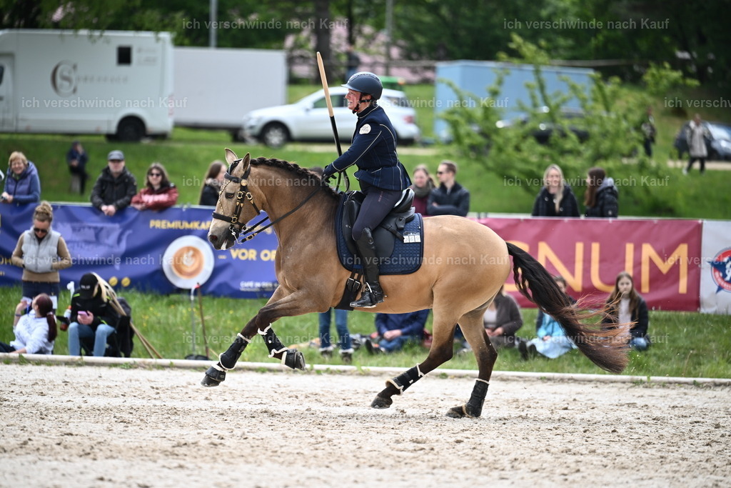 PI26_SP_Sara_Landvogt_226_5355.JPG | working equitationturnier fotograf videograf stoibphotography marixx film working equitation deutschland reitsport turnierfotografie eventfotografie equestrian events