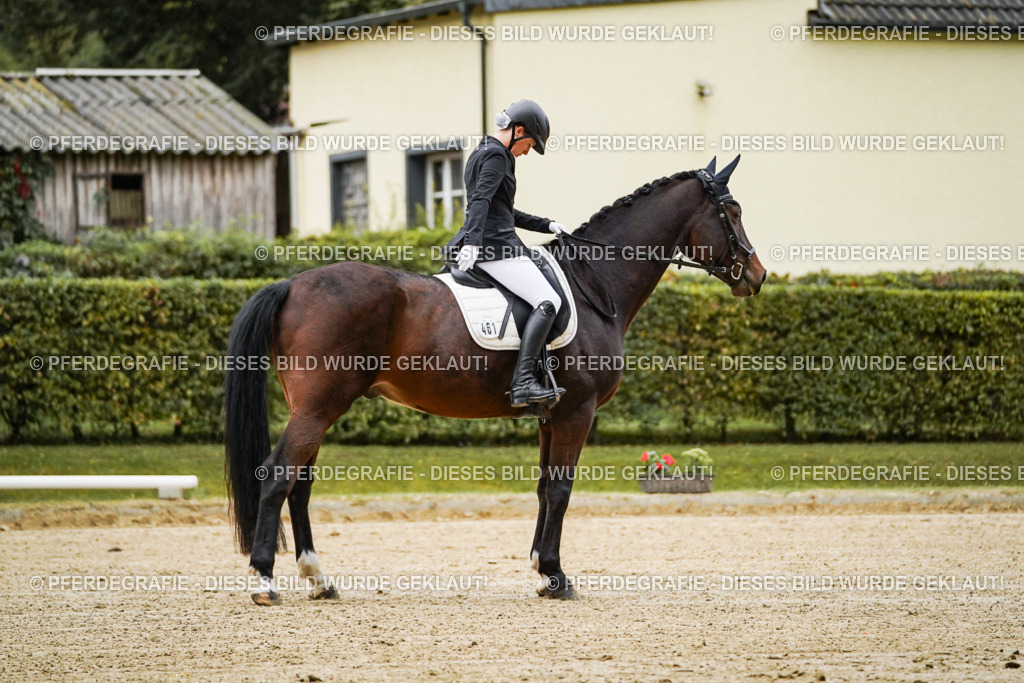 DSC06337 | Pferdegrafie