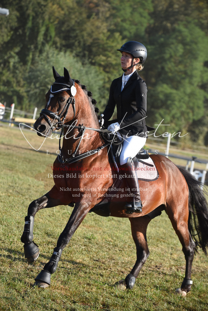 DSC_4936 | Pferde- und Turnierfotografie in Westsachsen. Pferdeportraits, Auftragszeichnungen und intuitive Kunst.