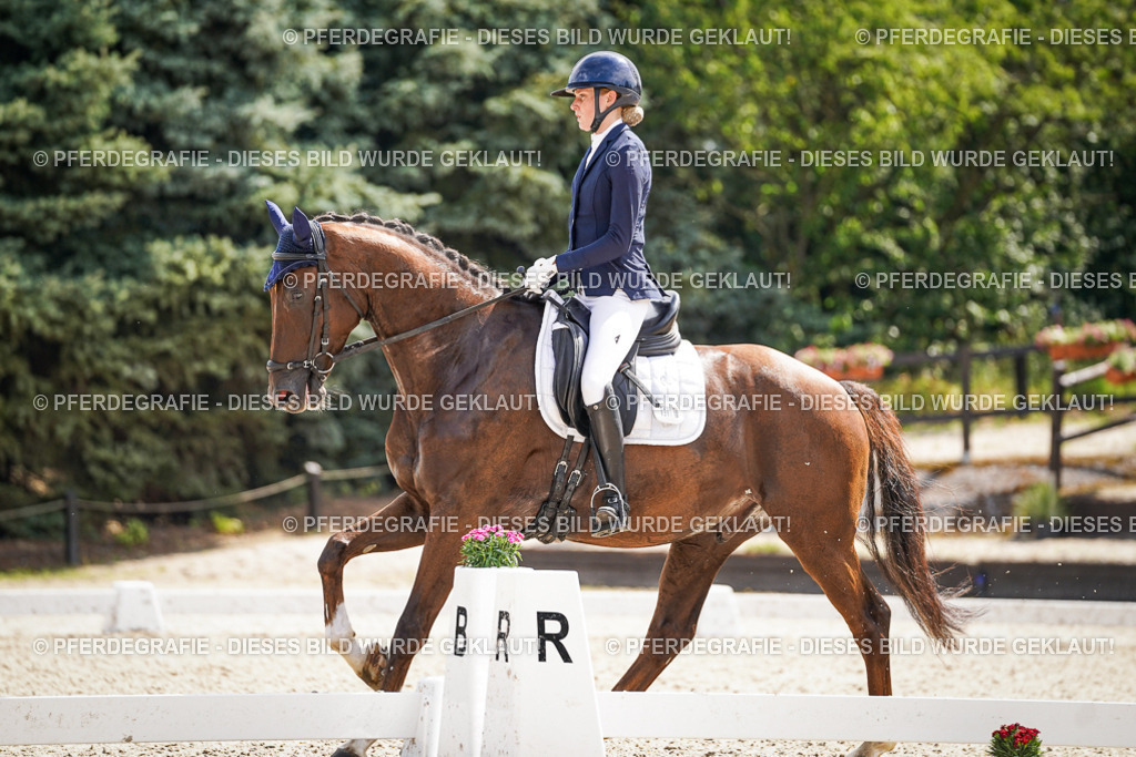 DSC09340 | Pferdegrafie