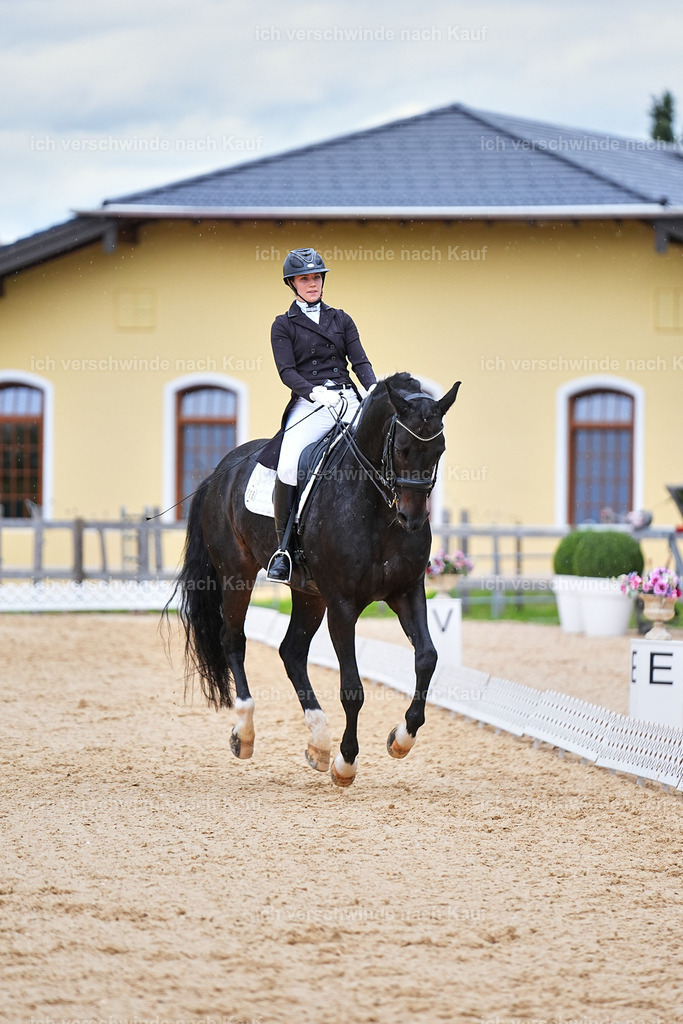 8_1-118-Klasse S_  -Marixx-4233 | working equitationturnier fotograf videograf stoibphotography marixx film working equitation deutschland reitsport turnierfotografie eventfotografie equestrian events