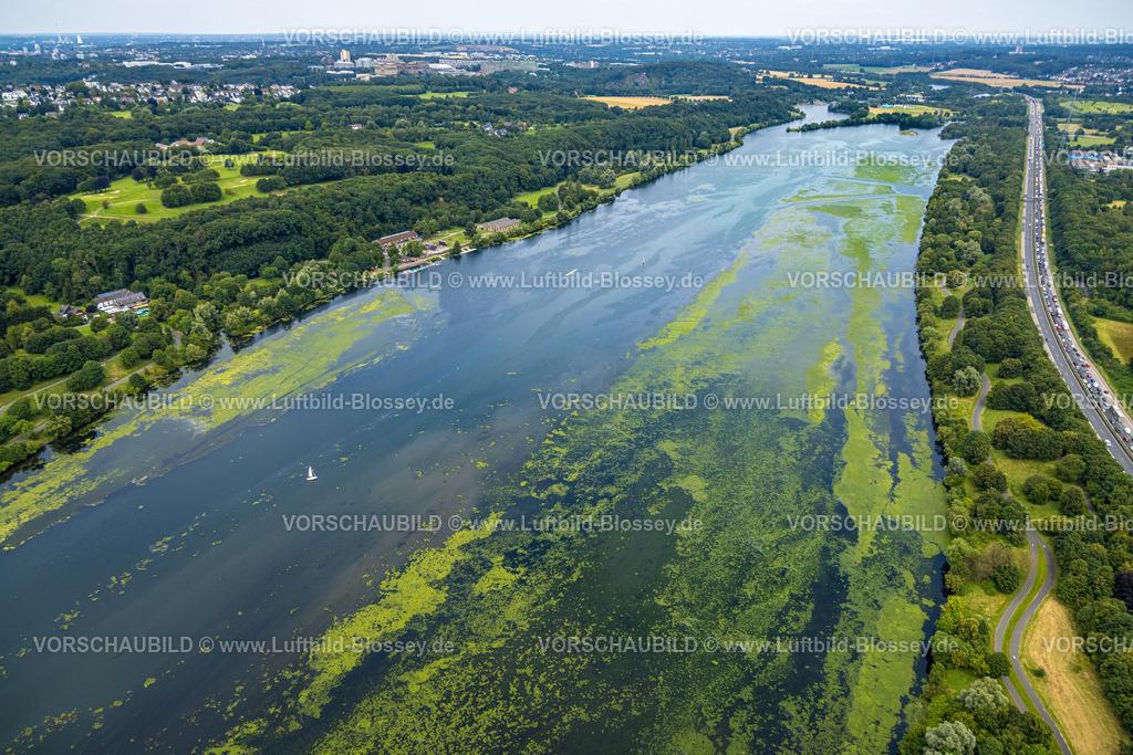 Witten240711148KemnaderSee | Luftbild, Kemnader Stausee mit Elodea, Wasserpest, Algenblüte, Segelboote und Stand-Up Paddeler, Witten, Nordrhein-Westfalen, Deutschland