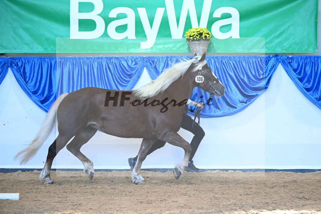 Kat-Nr. 106 Fennja_Reichmann_53220756 | hf-fotografie - Realizzato con Pictrs.com