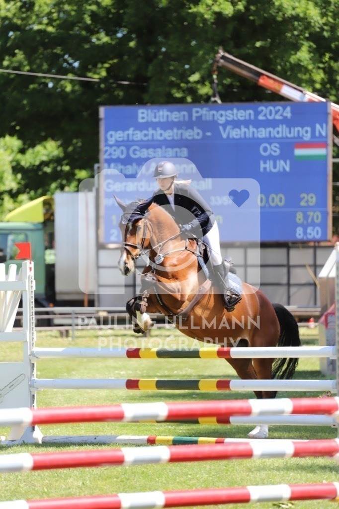 IMG_6226 | Pauline Ullmann Photography - Realisiert mit Pictrs.com