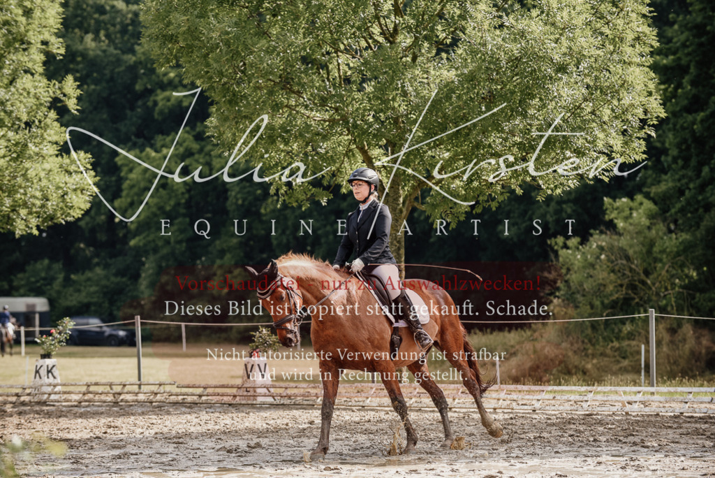 DSC_8939 | Pferde- und Turnierfotografie in Westsachsen. Pferdeportraits, Auftragszeichnungen und intuitive Kunst.