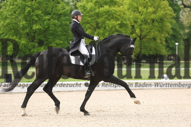 Ludwigsburg_2023_Prfg_Nr.03_Dressur_Kl.S_St.Georg Special_Julia Bögner_Quinn VR (4) | Alle Fotos der Reiterjournal Fotografin Doris Matthaes im Reiterjournal Online-Fotoshop. - Realizado com Pictrs.com