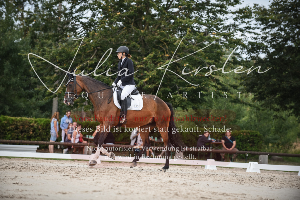 DSC_8544 | Pferde- und Turnierfotografie in Westsachsen. Pferdeportraits, Auftragszeichnungen und intuitive Kunst.