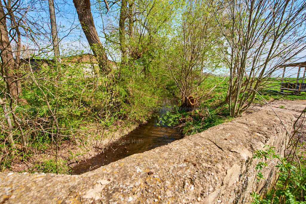 Am Elsterfloßgraben bei Kaja 02 | Bedeutsame Landschaften Deutschlands - Realisiert mit Pictrs.com