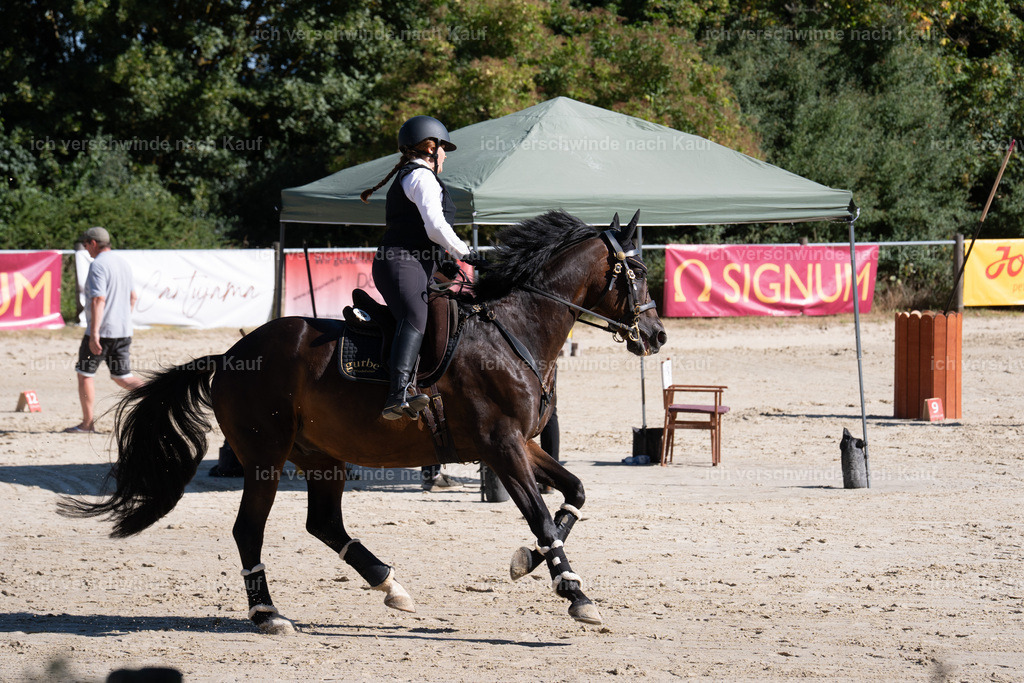 WL_SP_58_SinaFilmArt_IN05864 | working equitationturnier fotograf videograf stoibphotography marixx film working equitation deutschland reitsport turnierfotografie eventfotografie equestrian events
