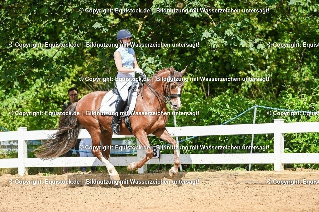 20230716_01_Dressurprüfung Kl.M_0265 | equistock