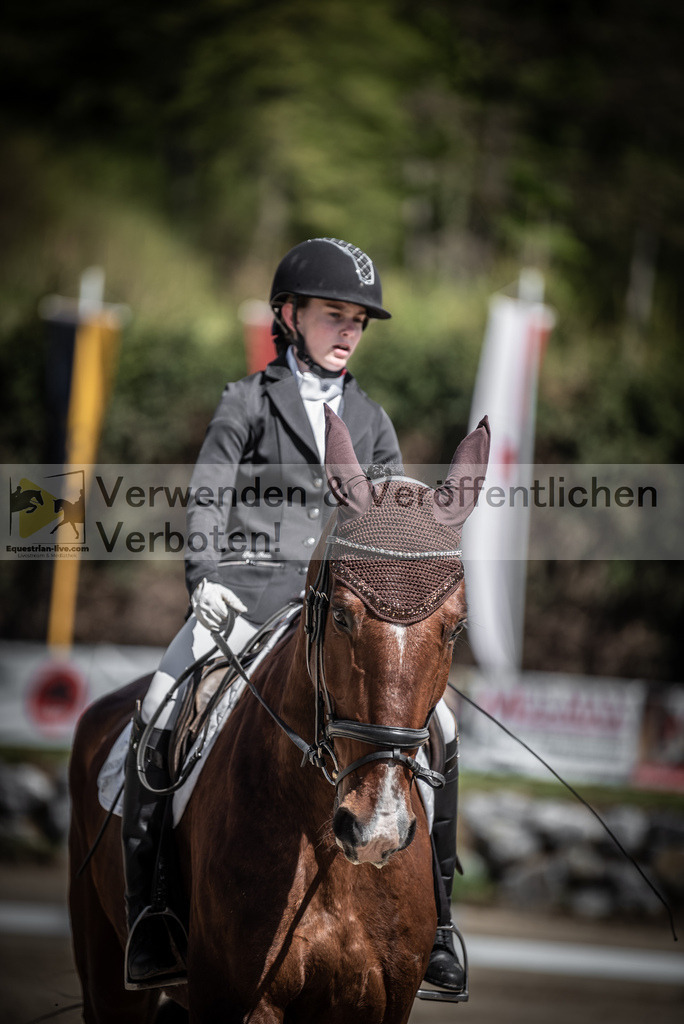 DSC_9923 | equestrian-live-com