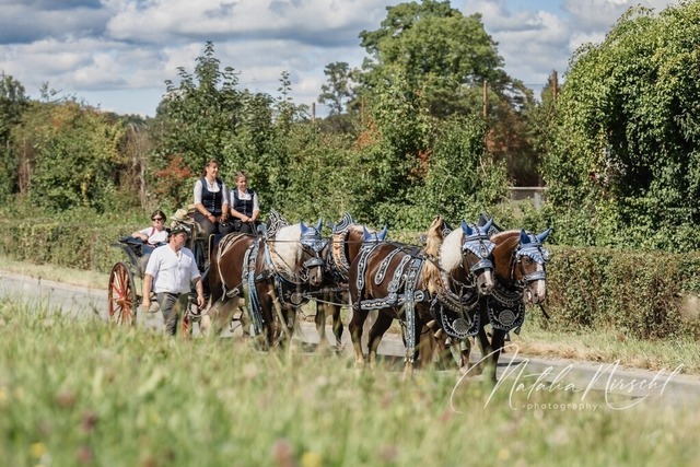 7V6A1186 | natalia-nirschl-photography