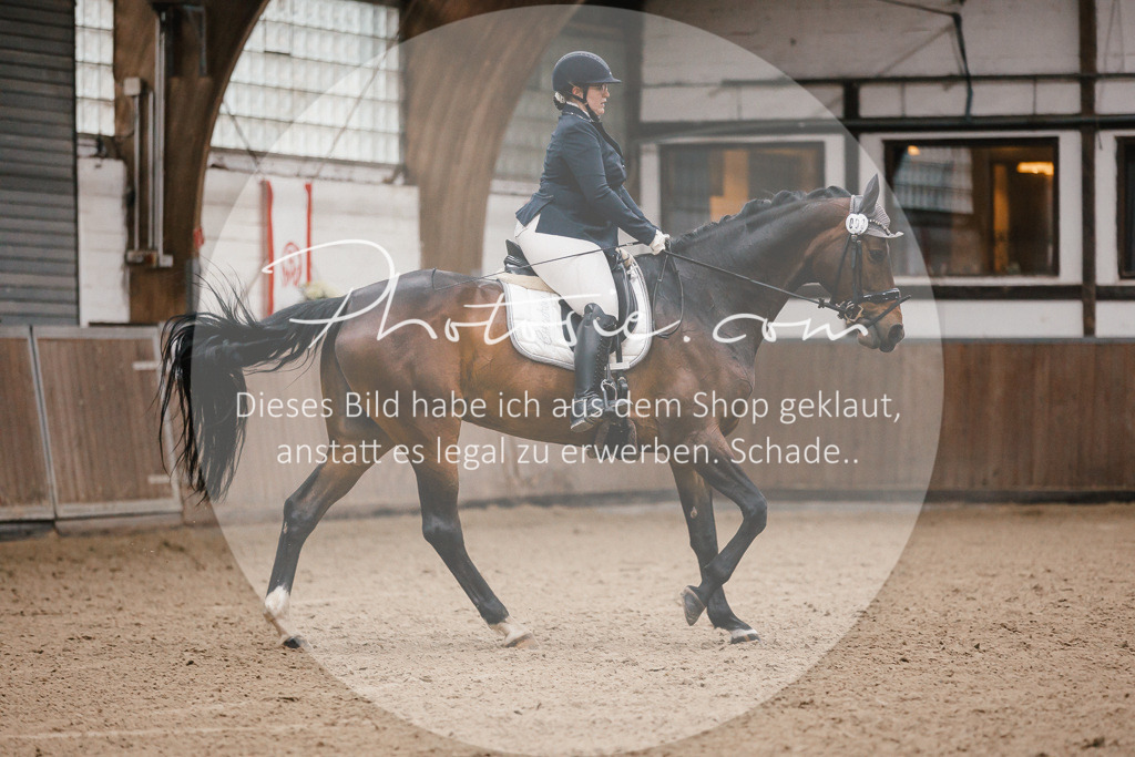 3I6A6106 | Stimmungsvolle Portraits und Reitsportfotografie im Ruhrgebiet und im Münsterland.

Pferdefotografie, Hundefotografie, Tierfotografie, Reportagen, Portraits von Tier und Mensch, Turnierfotografie in Bochum, Recklinghausen, Marl, Haltern am See, Dülmen.. - Realisiert mit Pictrs.com