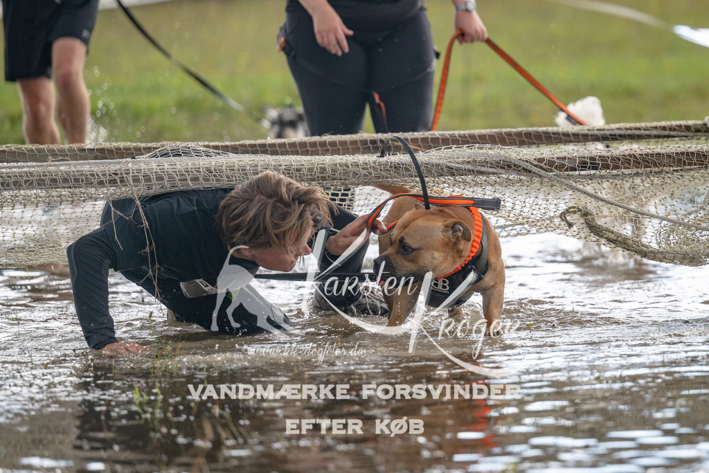 1400_ZZ90698 | kk-dogfotos