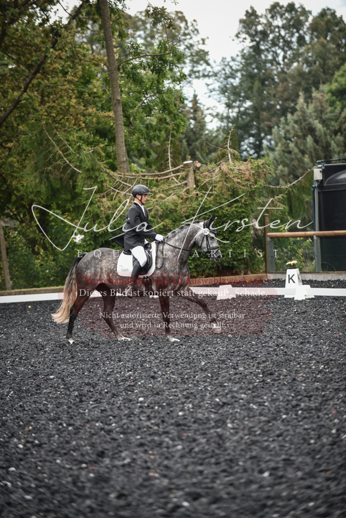 DSC_4626 | Pferde- und Turnierfotografie in Westsachsen. Pferdeportraits, Auftragszeichnungen und intuitive Kunst.