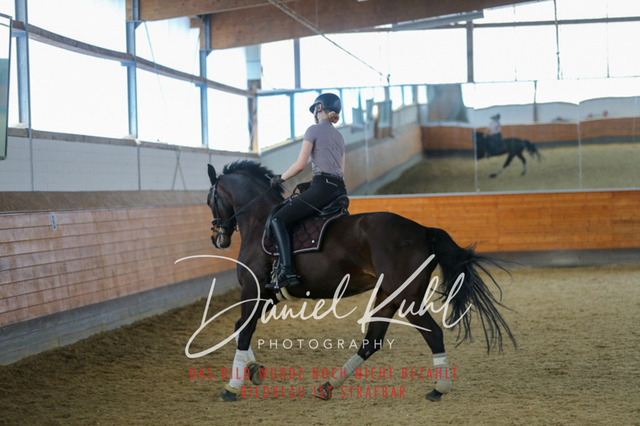 IMG_3525 | Deine Turnierfotos vom Reitturnier online kaufen: Dressur, Springen & Siegerehrung. Professionelle Pferdefotografie aus dem Rheinland – als Download & Print.Alternative: Turnierfotograf für den Pferdesport: Finde deine Fotos von Dressur- und Springturnier