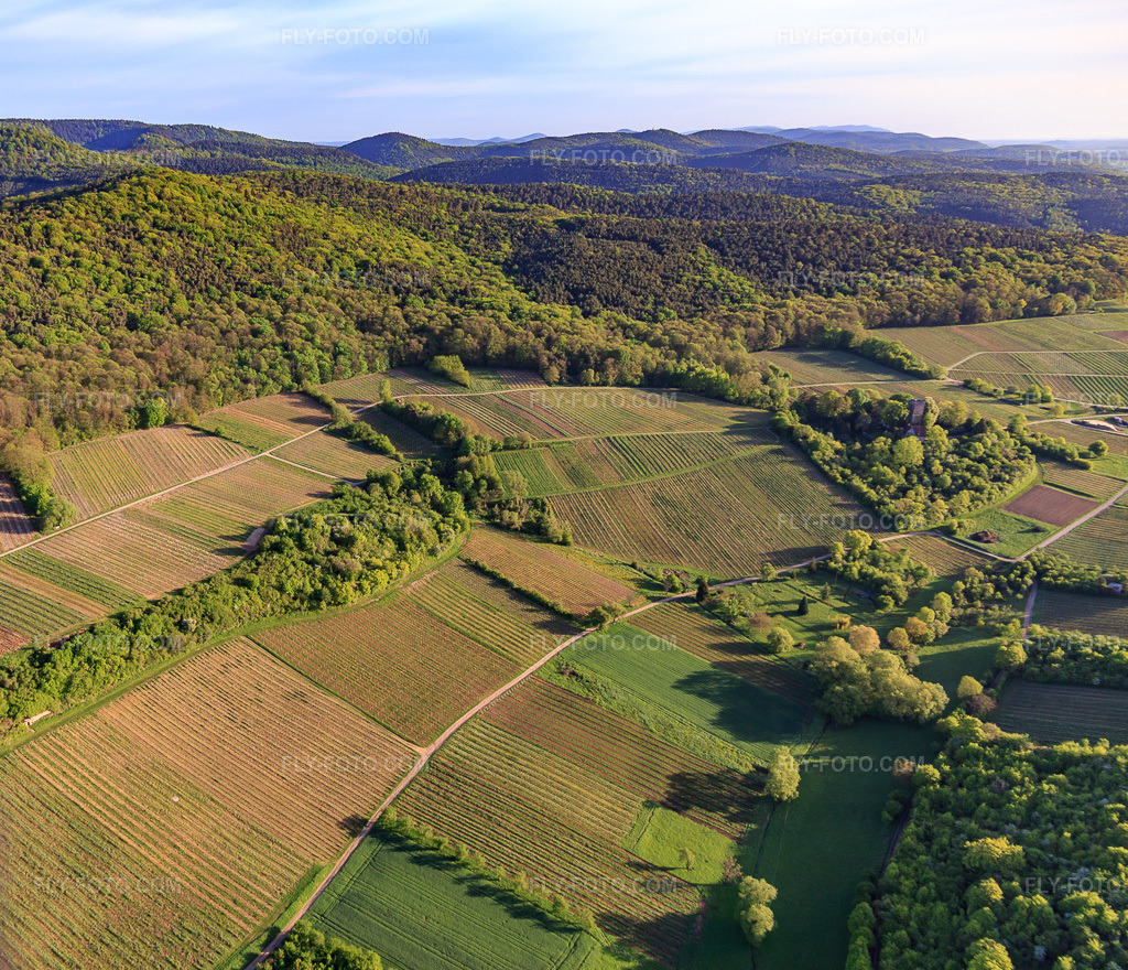 Aerial view: Sonnenberg vineyard in Wissembourg in the state Bas-Rhin, France. – Photo: IMG_107018.jpg taken on 04/27/2018 by Werner Riehm/FLY-FOTO.com – Resolution of the original: 4247 x 3648 px
