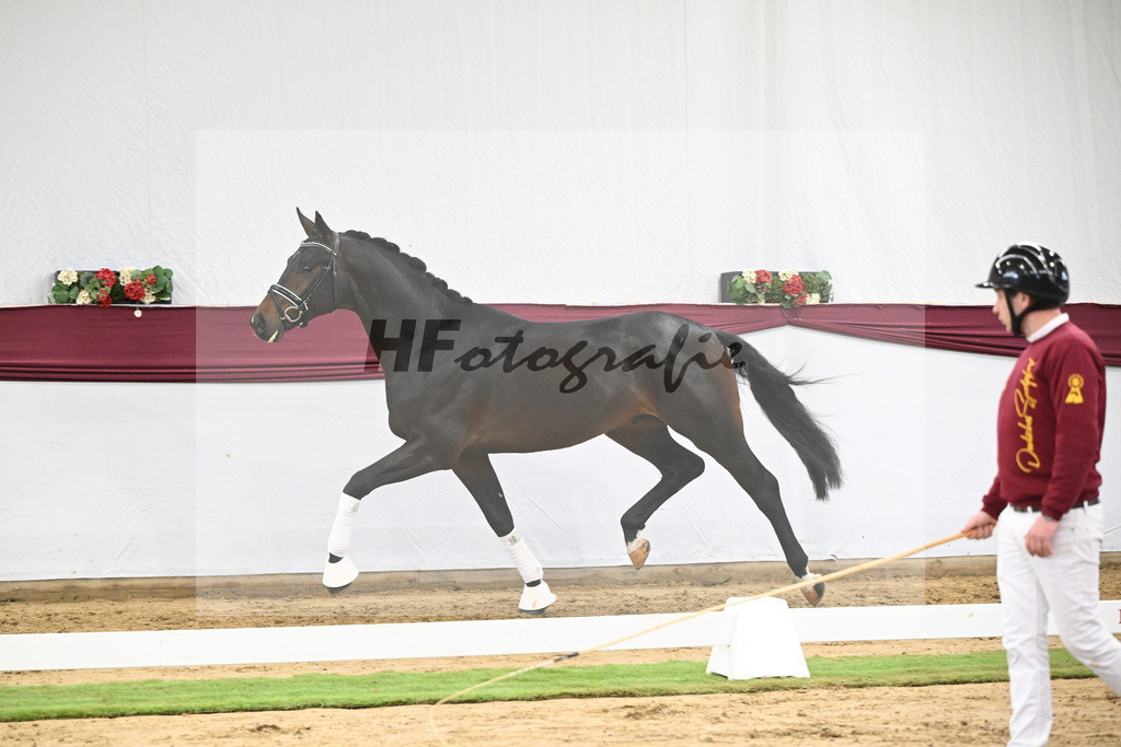 Kat-Nr. 114 Escaneno x Dr. Jackson D_Drews Reutalmuehle eGbR_47253636 | hf-fotografie - Realisiert mit Pictrs.com