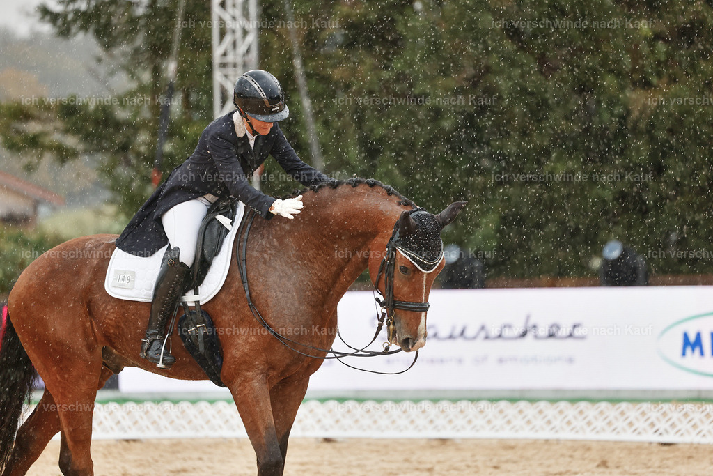 8_2-149-DRESSUR S_  -StoibPH-4483 | working equitationturnier fotograf videograf stoibphotography marixx film working equitation deutschland reitsport turnierfotografie eventfotografie equestrian events
