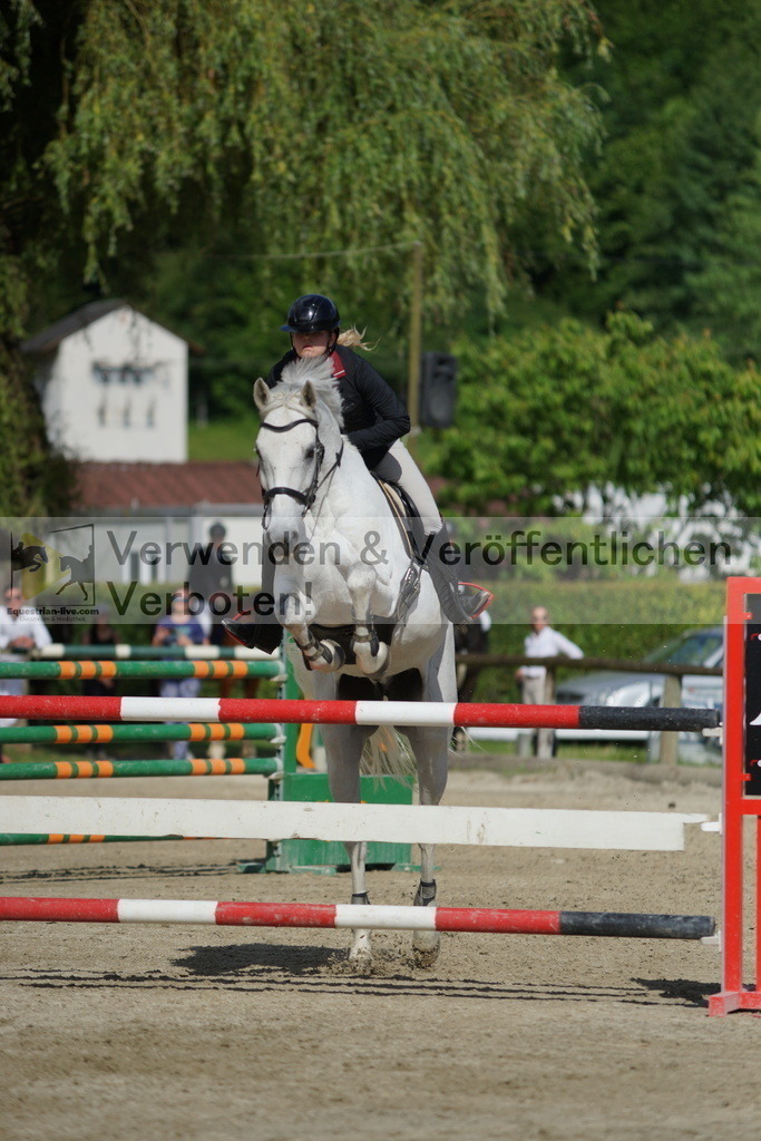 DSC08457 | equestrian-live-com