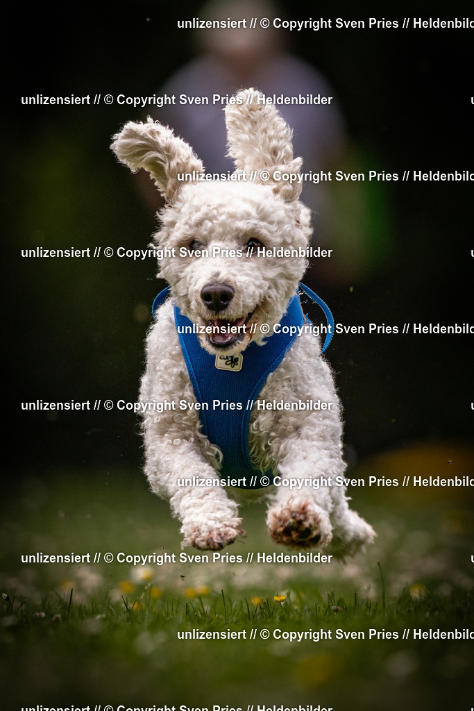 Sven Pries | 2025-05-29 - Pudelrennen KA-Durlach - Realisiert mit Pictrs.com