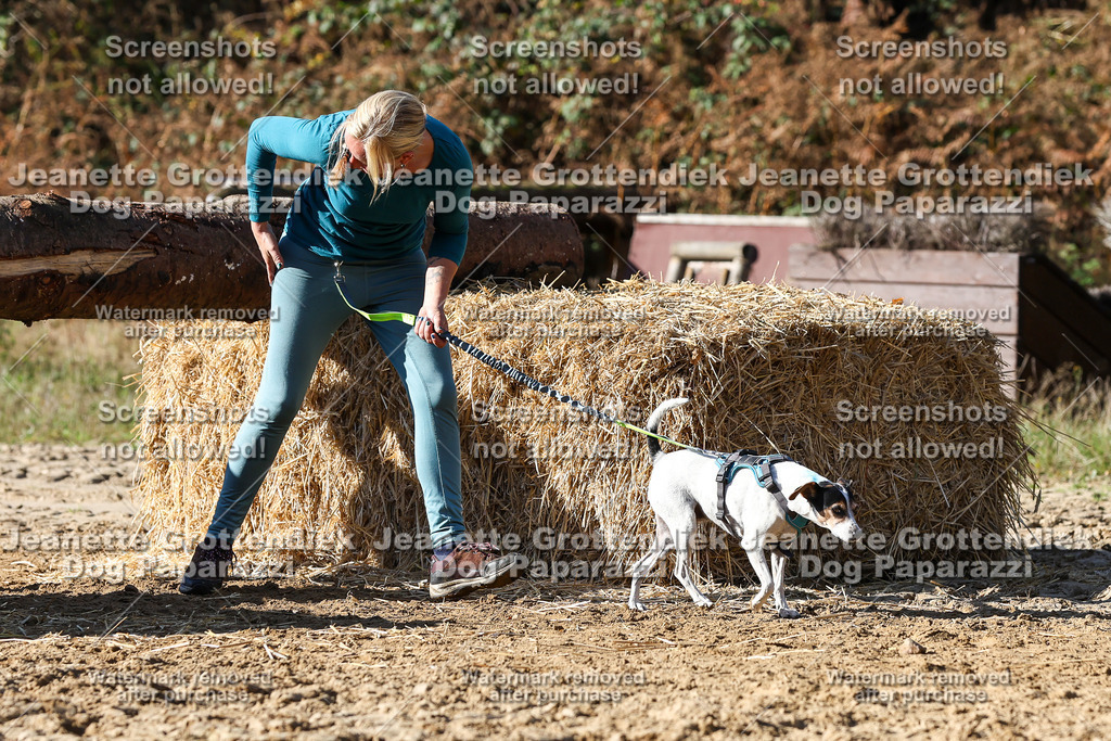 Dog Paparazzi - Strongdog 10-25-4683 | Dog Paparazzi Jeanette Grottendiek Fotografie & Videografie - Realisiert mit Pictrs.com