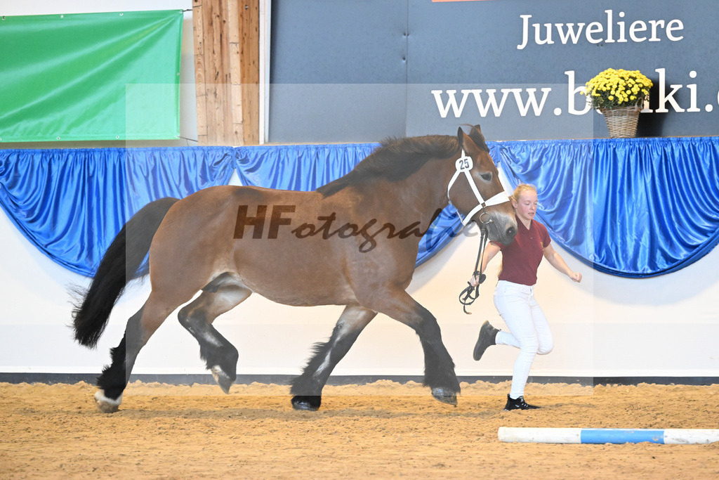 Kat-Nr. 25 Nele_Pferdehof Schwittersdorf_53221110 | hf-fotografie - Realizzato con Pictrs.com