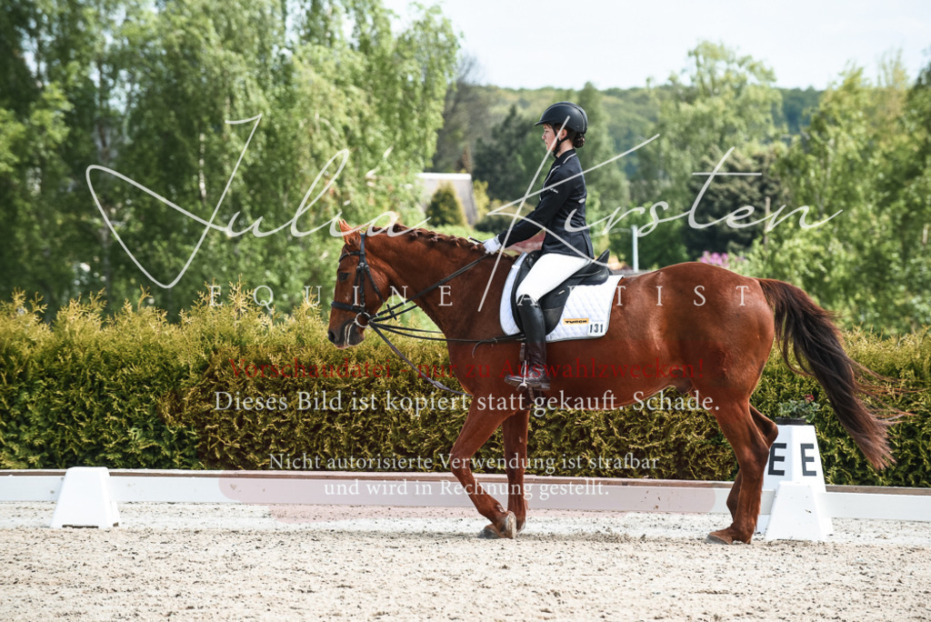 20230518_JK-Röhrsdorf-11-0437 | Pferde- und Turnierfotografie in Westsachsen. Pferdeportraits, Auftragszeichnungen und intuitive Kunst.