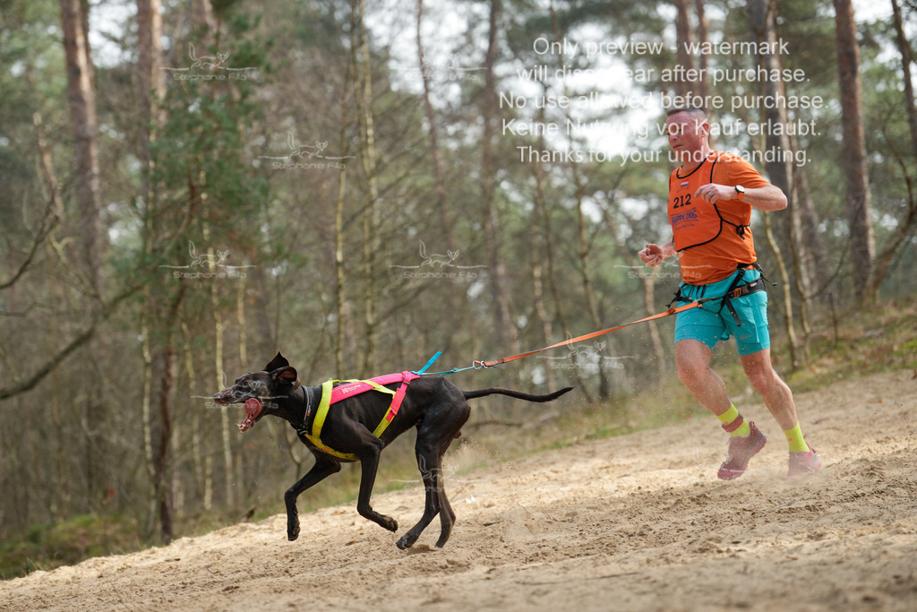 LangeCross-55 | stephaniefillaphotographie - Realisiert mit Pictrs.com
